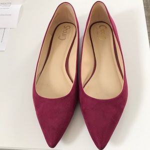 Sam Edelman Circus Suede Pointed Flats size 13